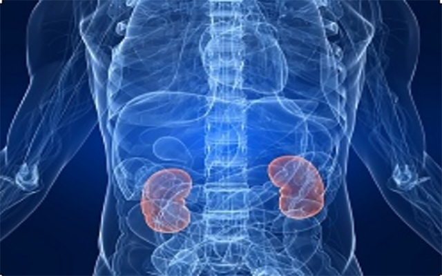 Figo Kushindwa Kufanya Kazi (Renal/Kidney Failure)