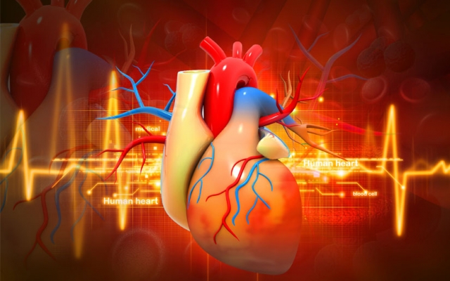 Maambukizi katika kuta za ndani za moyo (Infective Endocarditis)