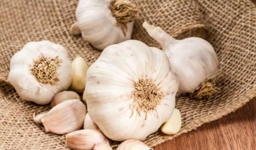 Faida za Kiafya za Kitunguu Swaumu (Garlic)